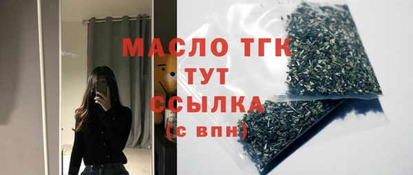 хмурый Бородино