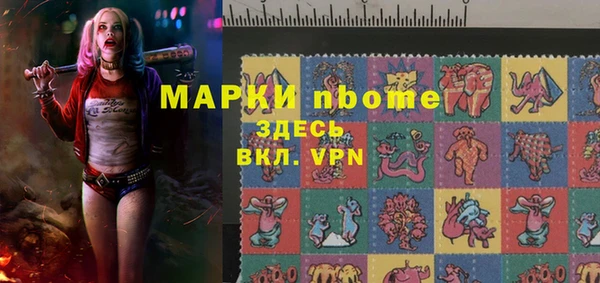 хмурый Бородино