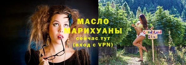 хмурый Бородино