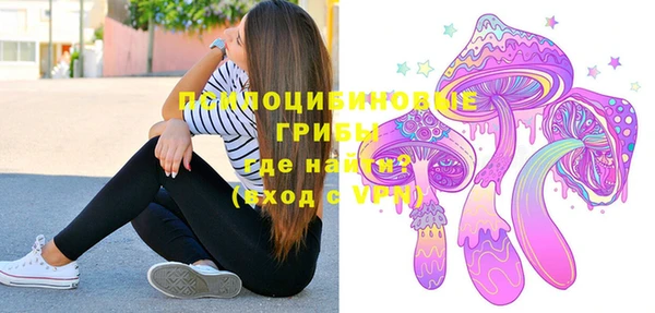 хмурый Бородино