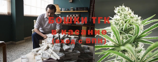 хмурый Бородино