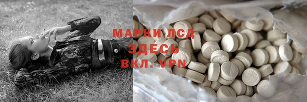 хмурый Бородино