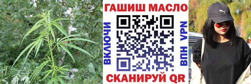 Купить где Воркута Дистиллят ТГК жижа